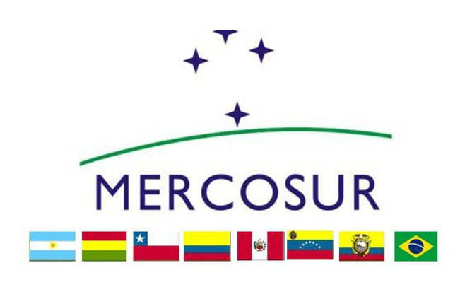 Paz viajará a cumbre del Mercosur sin delegar mando y con Decreto que limita al Vicepresidente